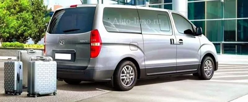 Встреча в аэропорту Домодедово