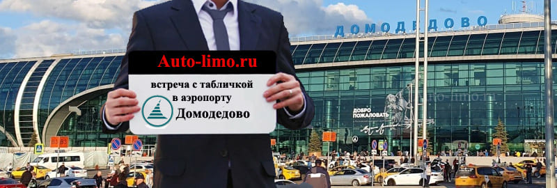 Заказать встречу с табличкой в аэропорту Домодедово